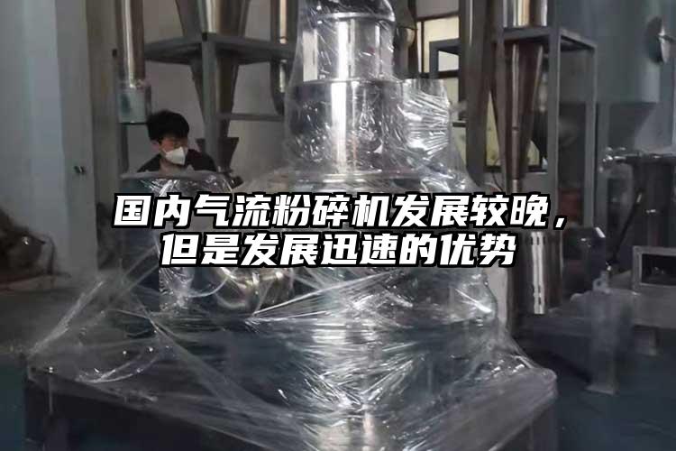 國內(nèi)氣流粉碎機(jī)發(fā)展較晚，但是發(fā)展迅速的優(yōu)勢