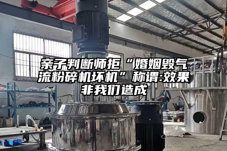 親子判斷師拒“婚姻毀氣流粉碎機(jī)壞機(jī)”稱謂:效果非我們?cè)斐?><span id=