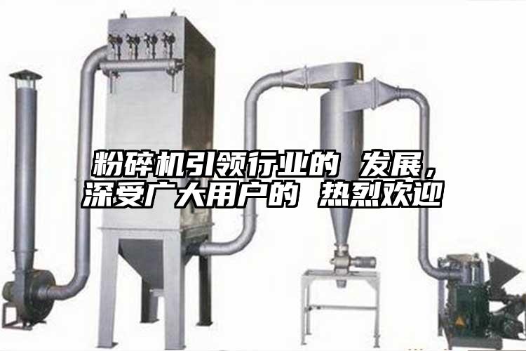 粉碎機(jī)引領(lǐng)行業(yè)的 發(fā)展，深受廣大用戶的 熱烈歡迎